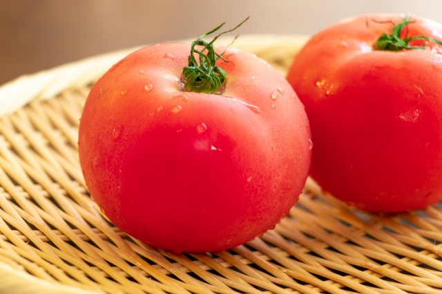 Đón gói cà chua và chăm sóc cây trồng..vv